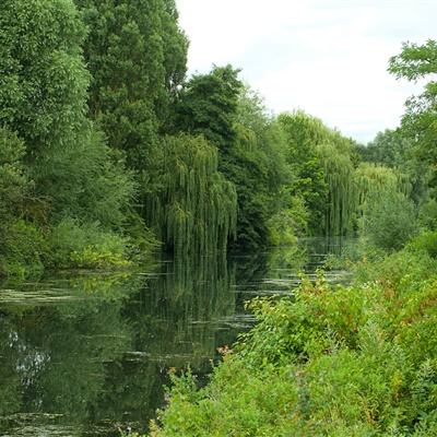 半岛官方APP入口