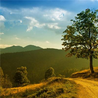 ManBetX客户端登录