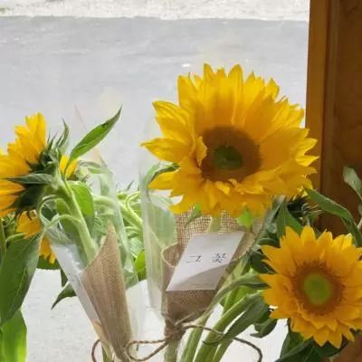 半岛官方APP入口