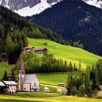 大发彩票appapp下载截图